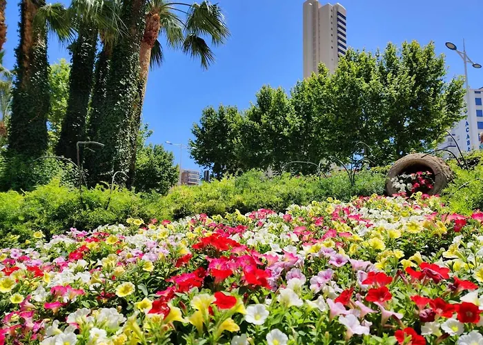 Hotel Don Pancho - Designed For Adults